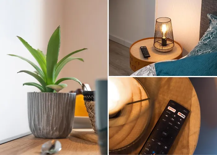 Le Nouveau Cosy Et Equipe - Proche Centre Gare Et Commerces - Kasa * קמברה