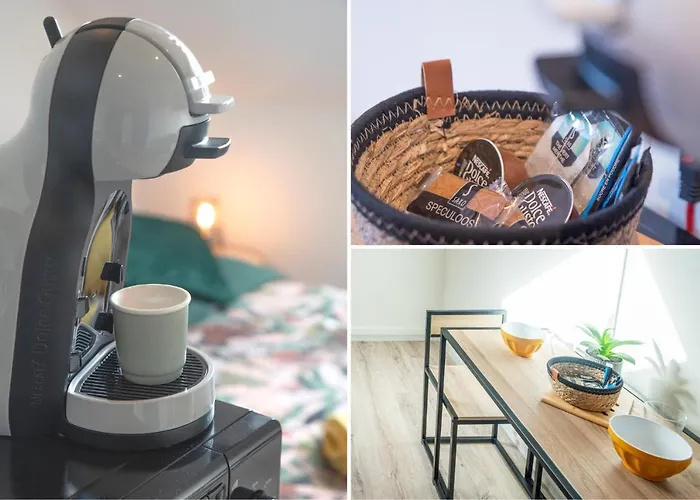 Le Nouveau Cosy Et Equipe - Proche Centre Gare Et Commerces - Kasa *