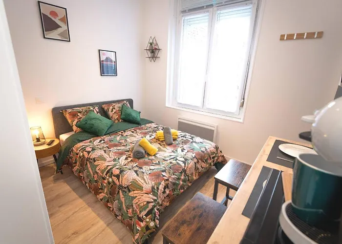 Le Nouveau Cosy Et Equipe - Proche Centre Gare Et Commerces - Kasa דירה *